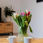 Apartamento I Strefa Grilla I Relaksu